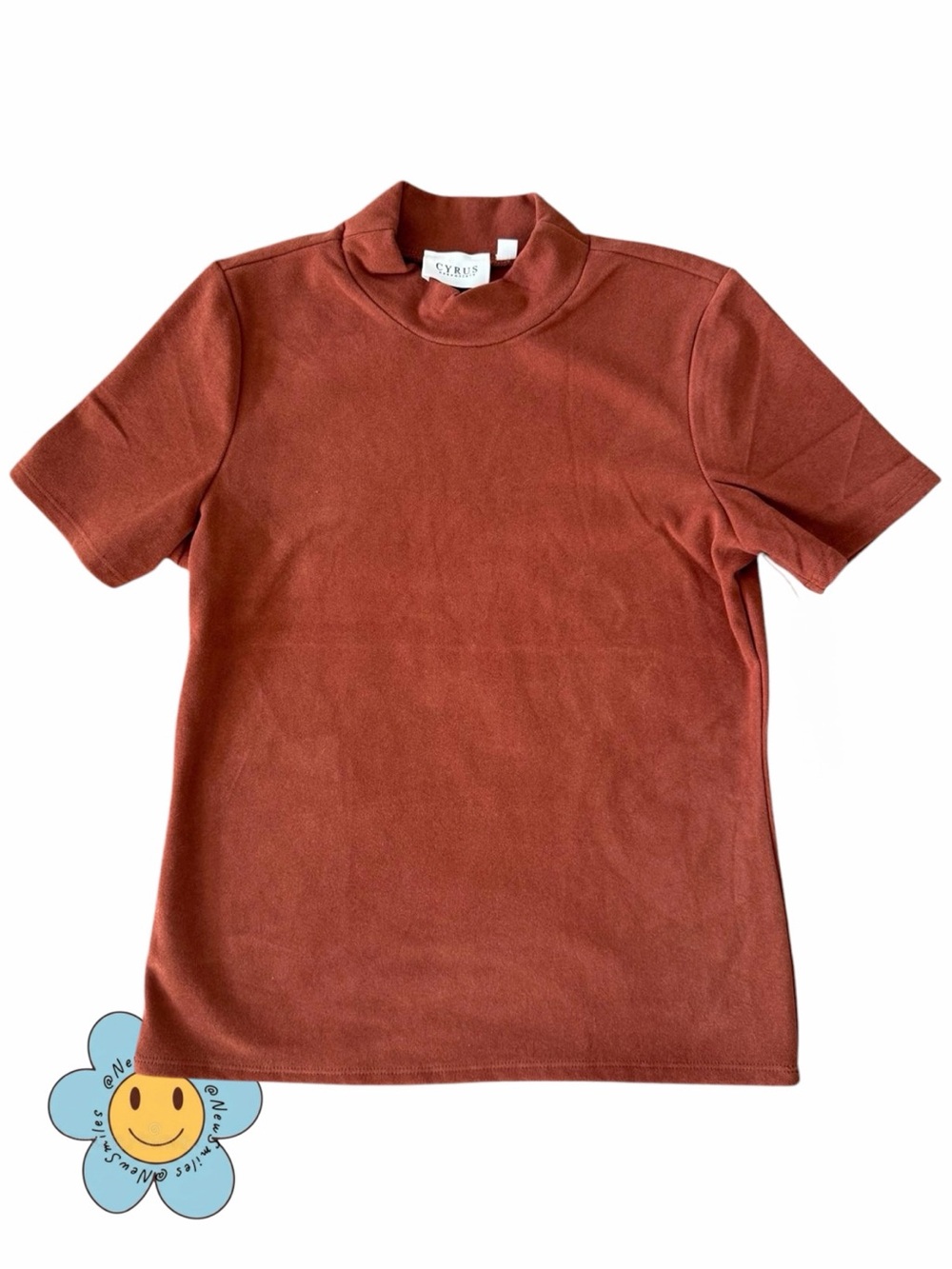 Cyrus Essentials ~ Short-Sleeve Mock Neck Tee in Rust ~ So Soft